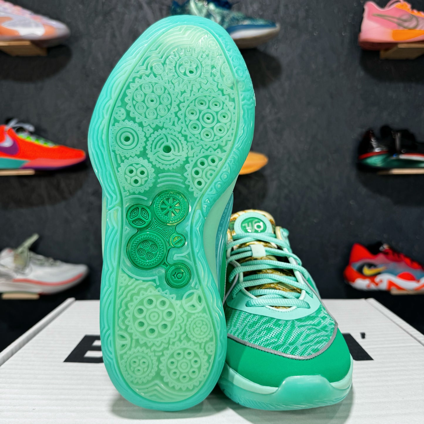KD 16 "Wanda"