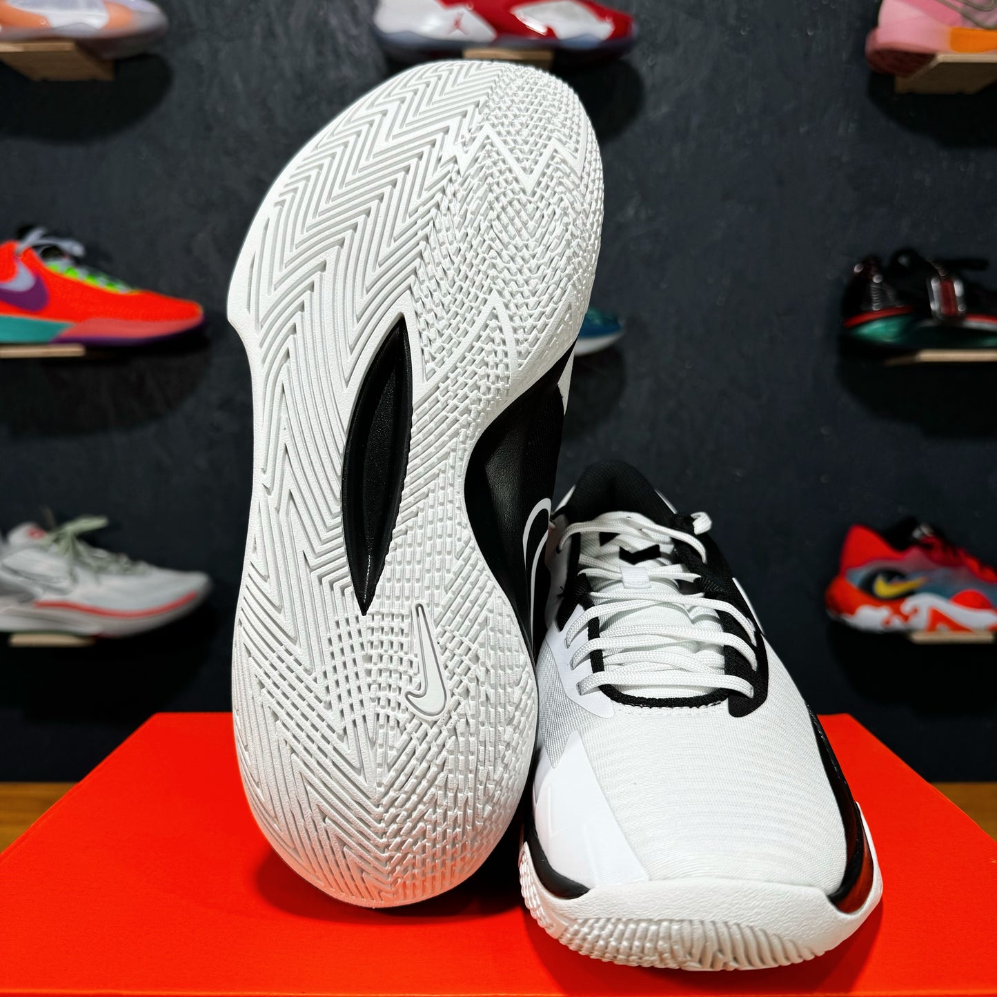 Nike Precision 6 Panda