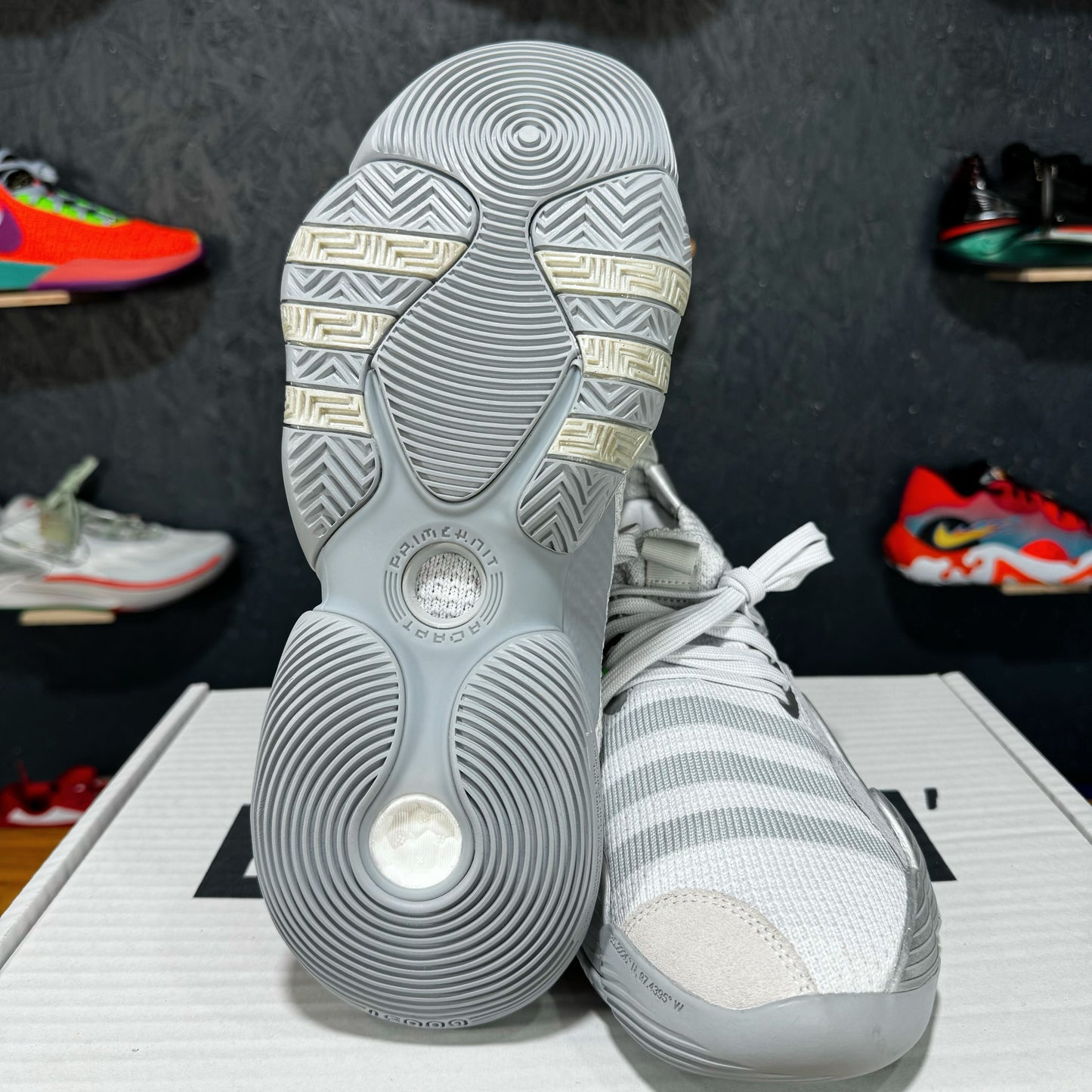 Trae Young 2.0 "Dash grey"🏀