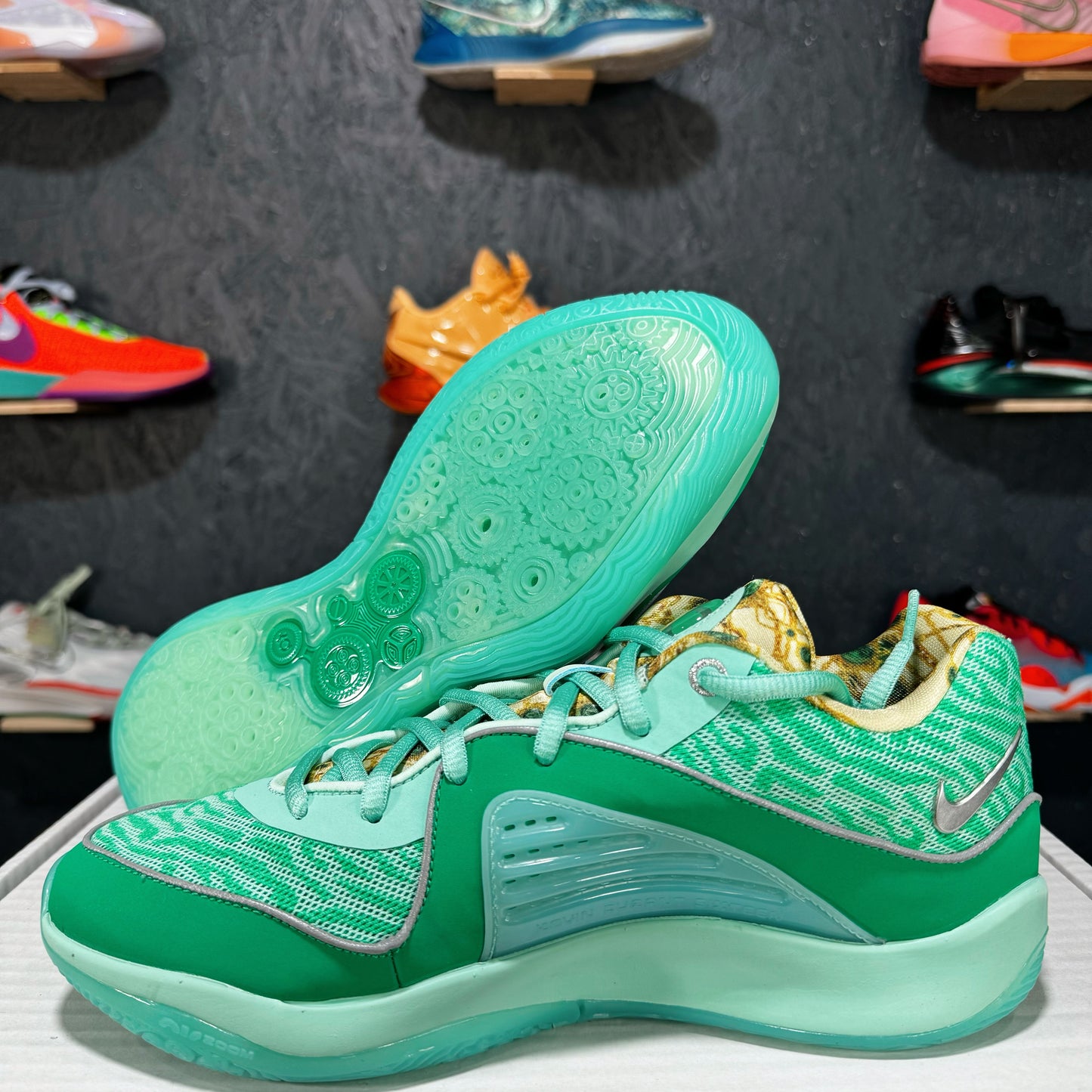 KD 16 "Wanda"