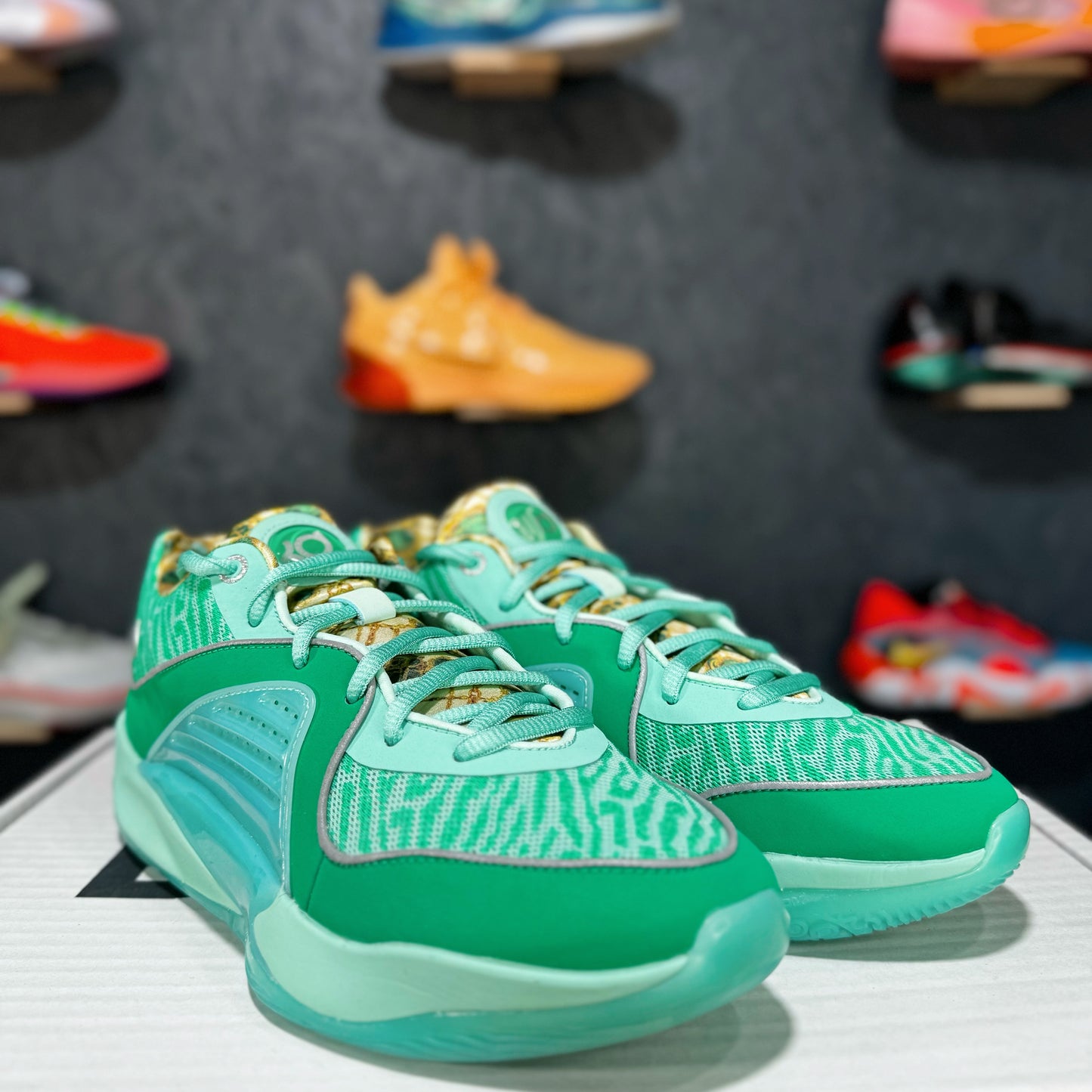 KD 16 "Wanda"