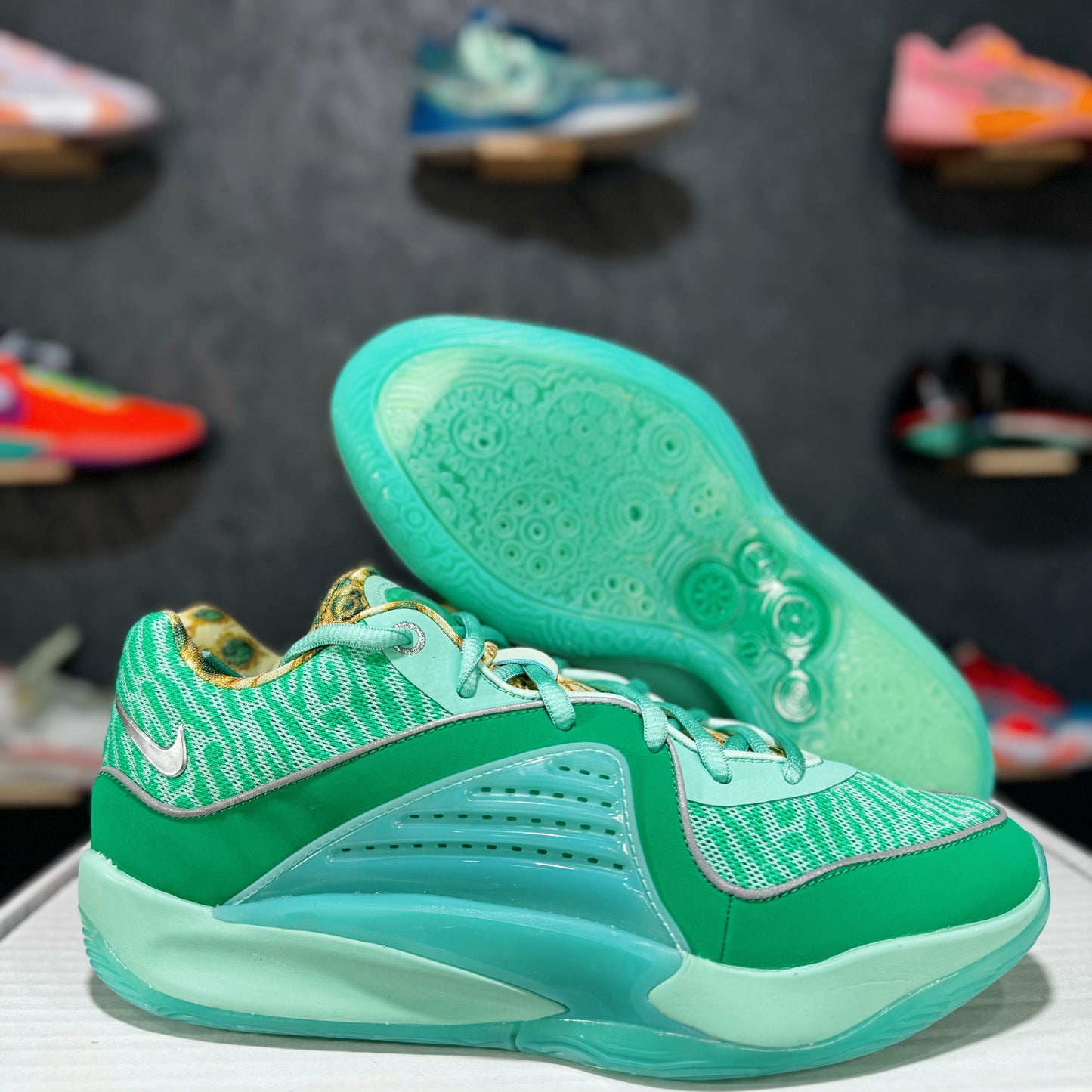 KD 16 "Wanda"