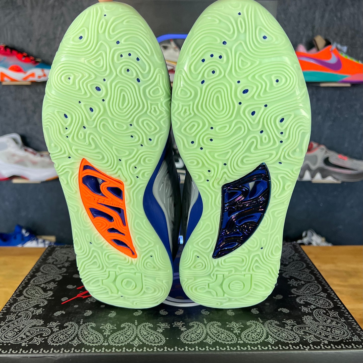 KD 15 "Cardo"