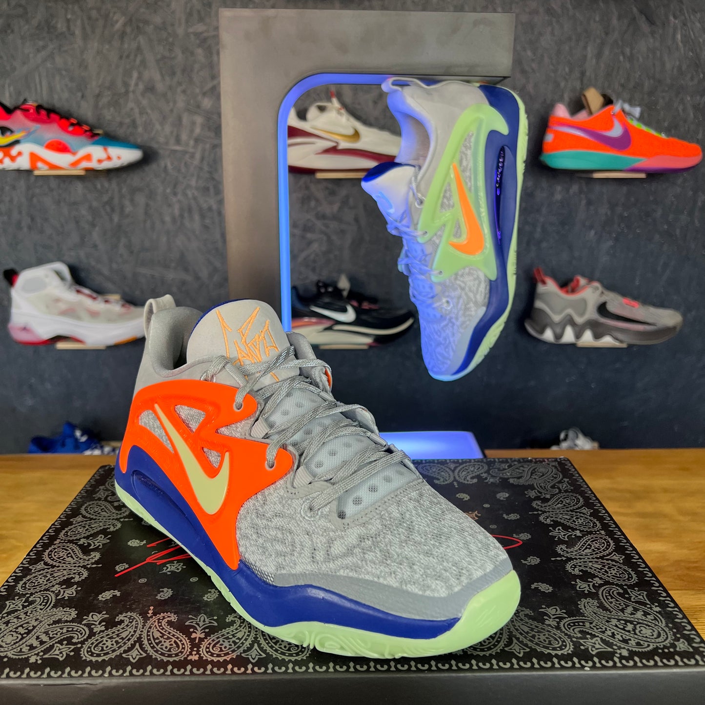 KD 15 "Cardo"