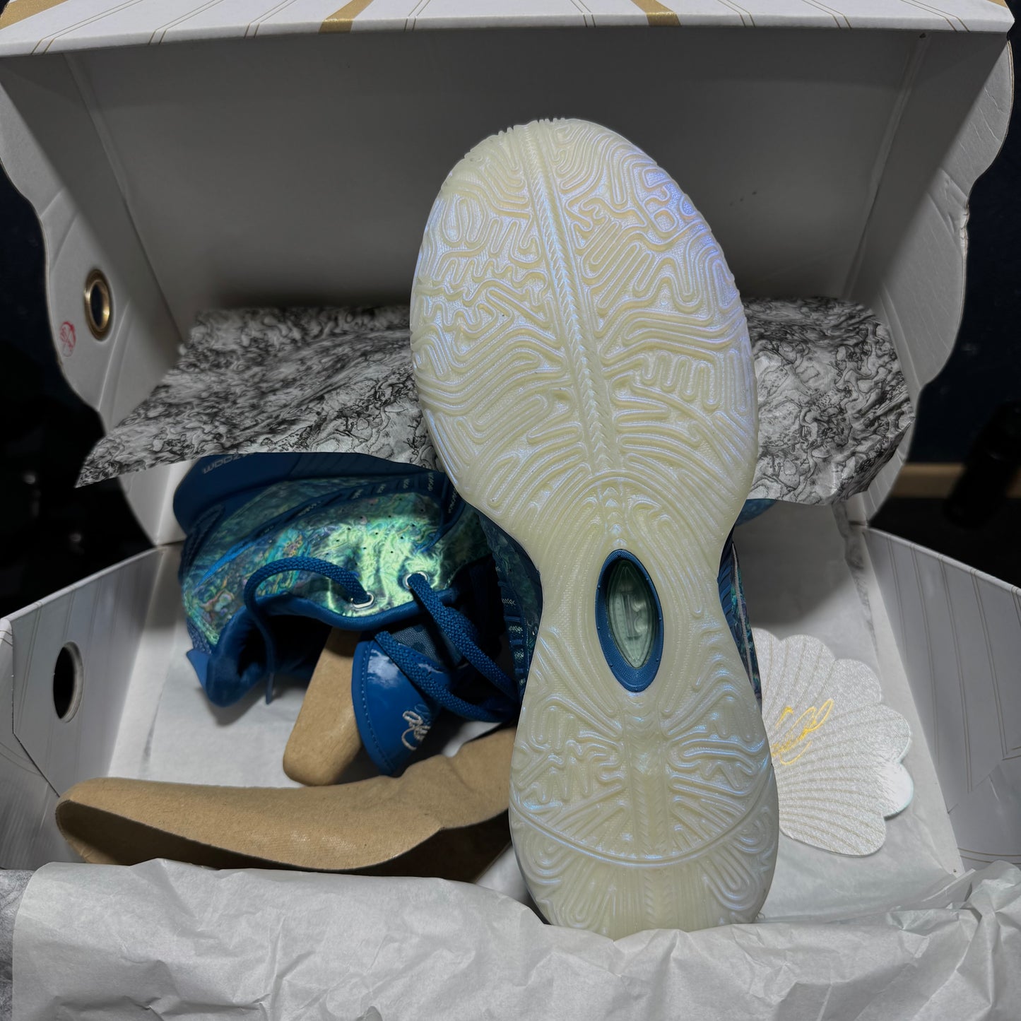 Lebron XXI "Abalone"